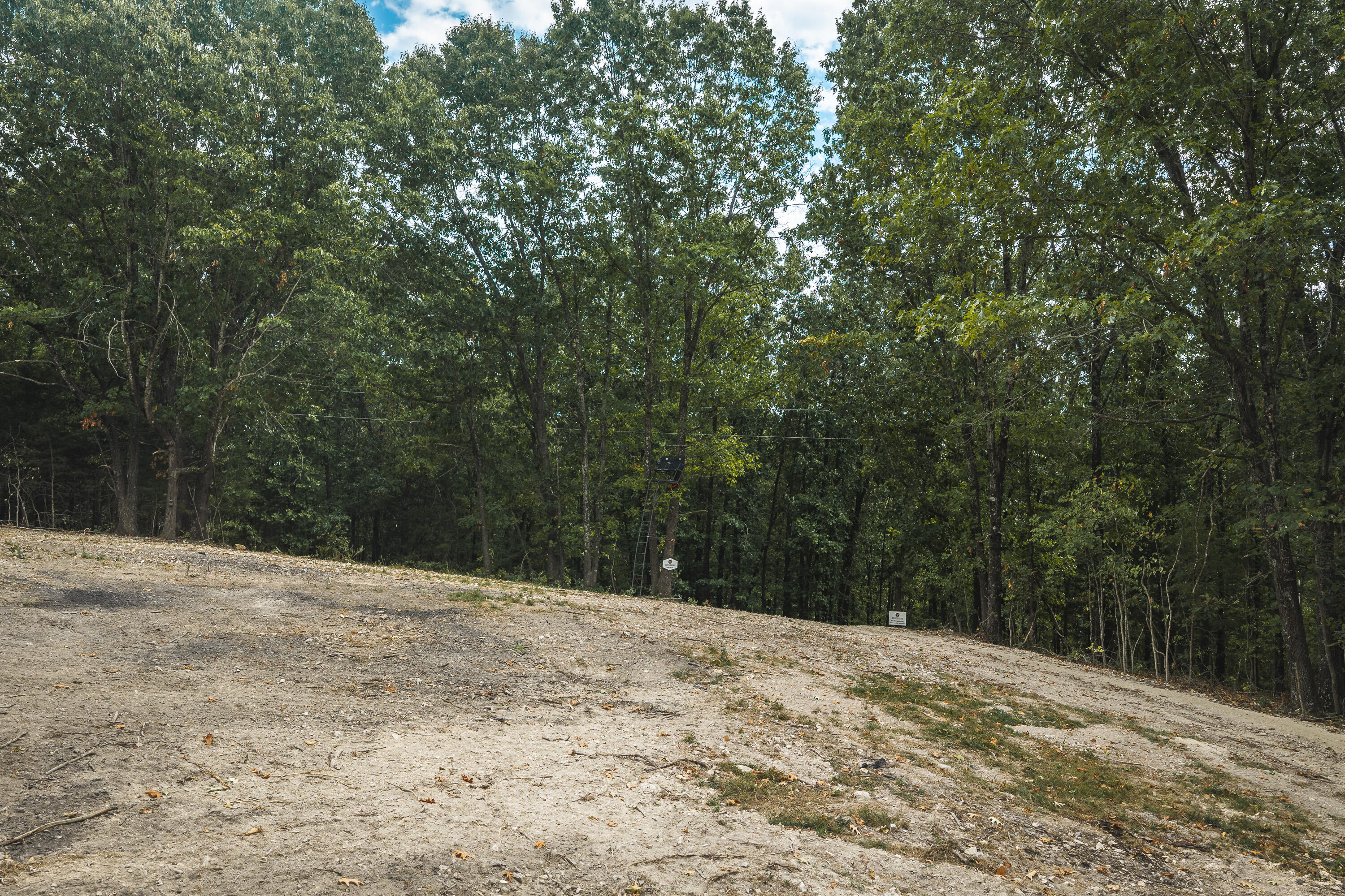 Photo 5 - Land for sale – 1190  Us Highway 160   Reeds Spring, MO