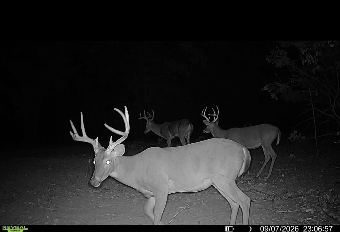 Photo 28 - Land for sale – 1190  Us Highway 160   Reeds Spring, MO