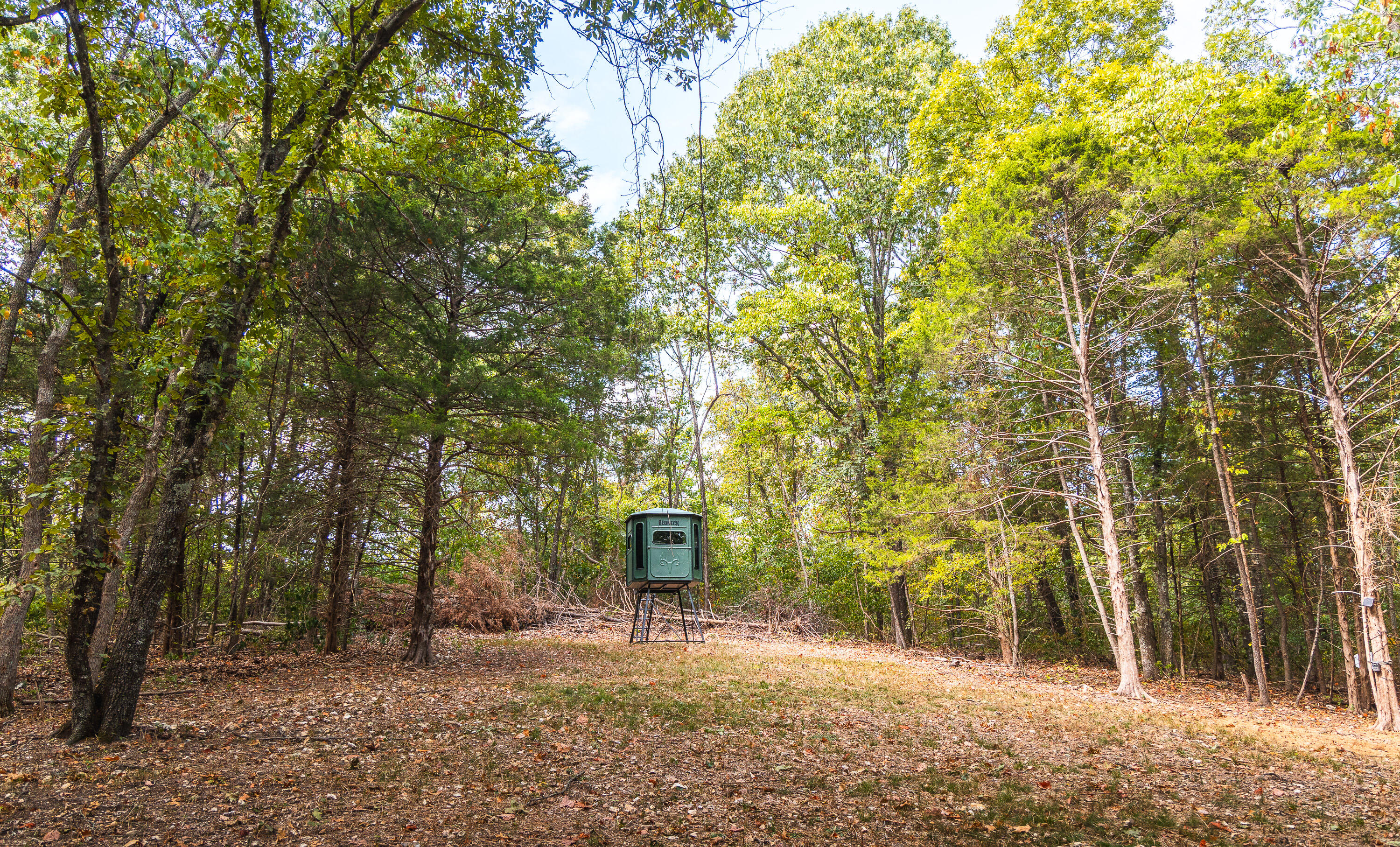 Photo 14 - Land for sale – 1190  Us Highway 160   Reeds Spring, MO
