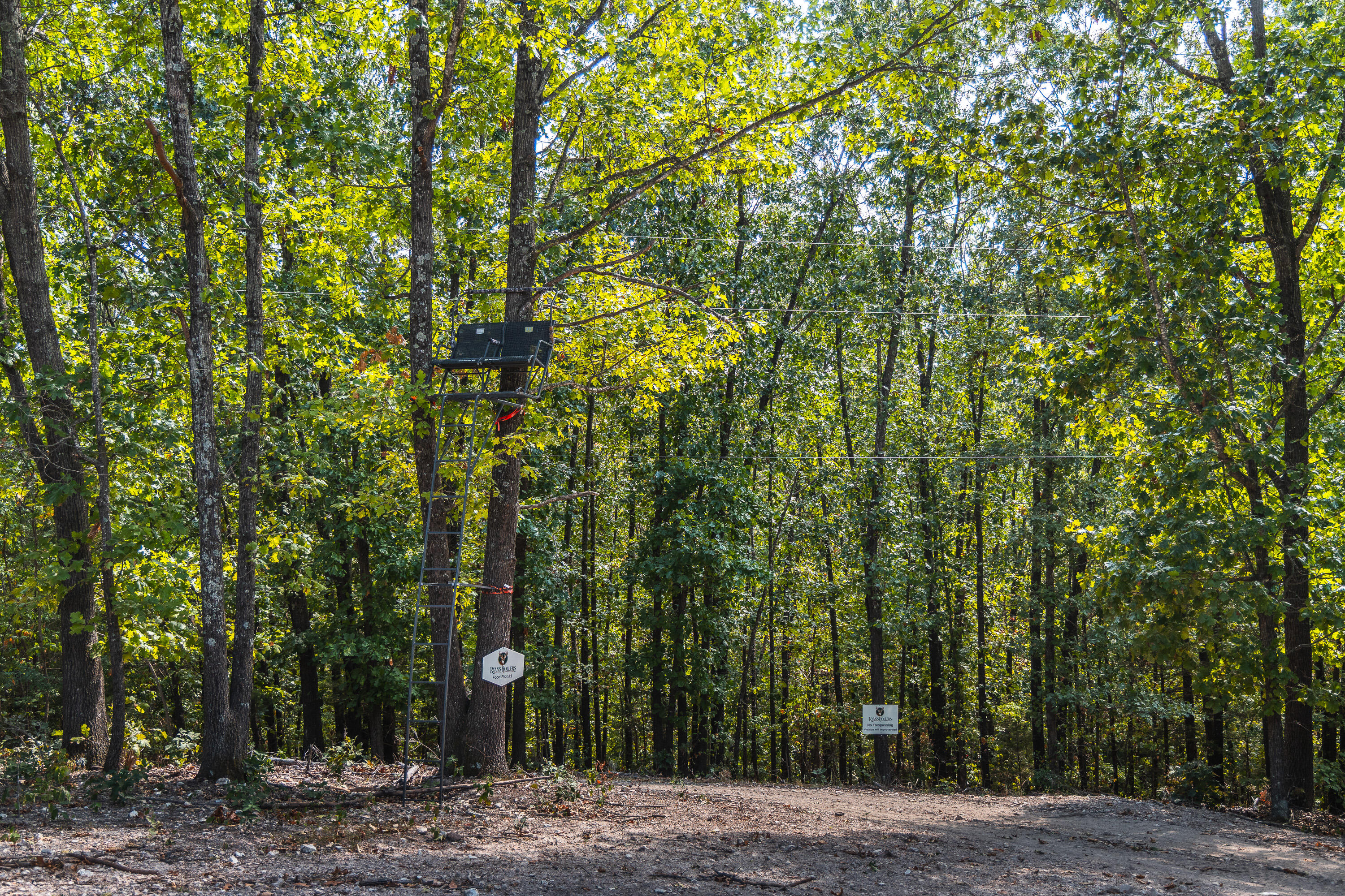 Photo 9 - Land for sale – 1190  Us Highway 160   Reeds Spring, MO