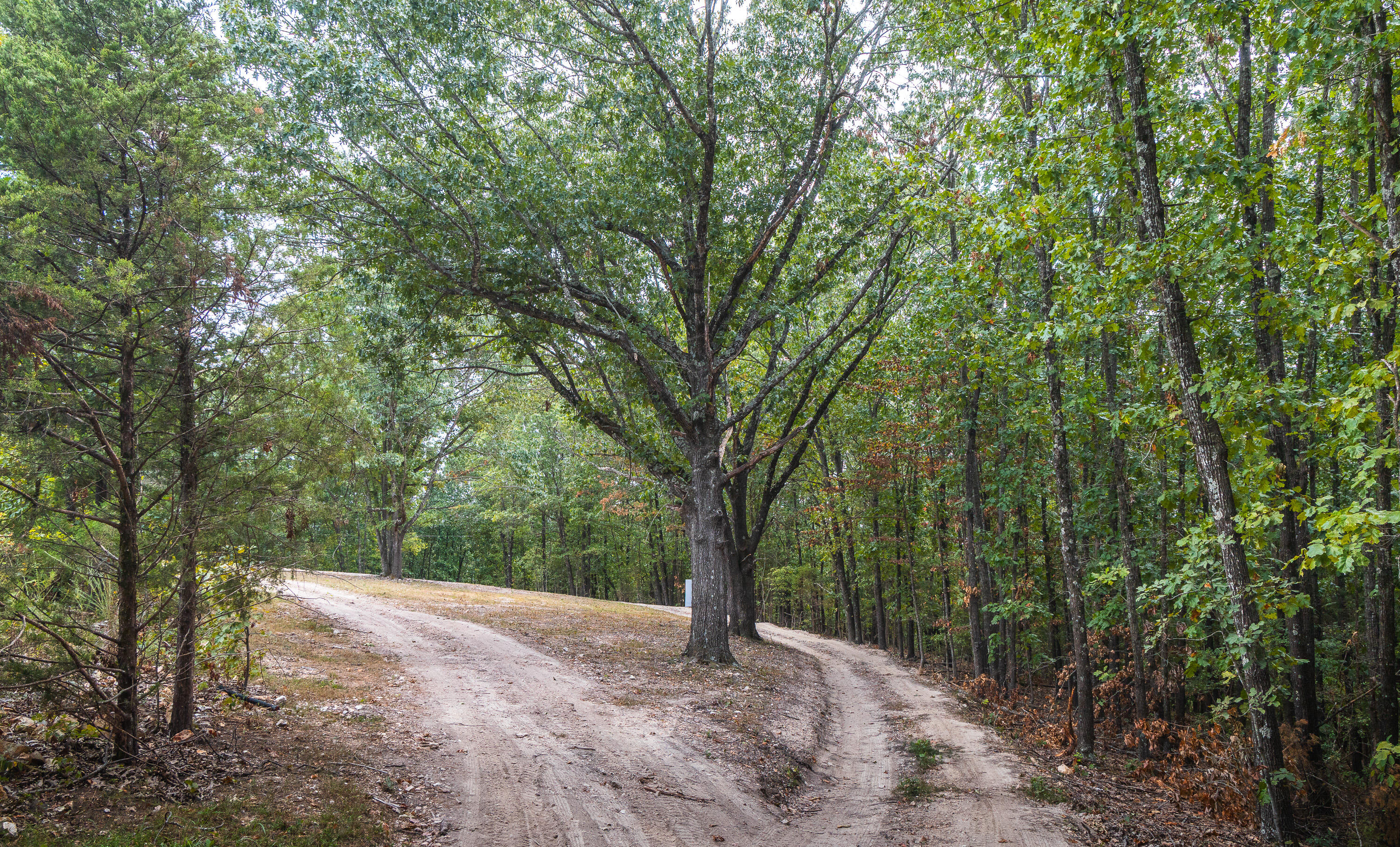 Photo 38 - Land for sale – 1190  Us Highway 160   Reeds Spring, MO