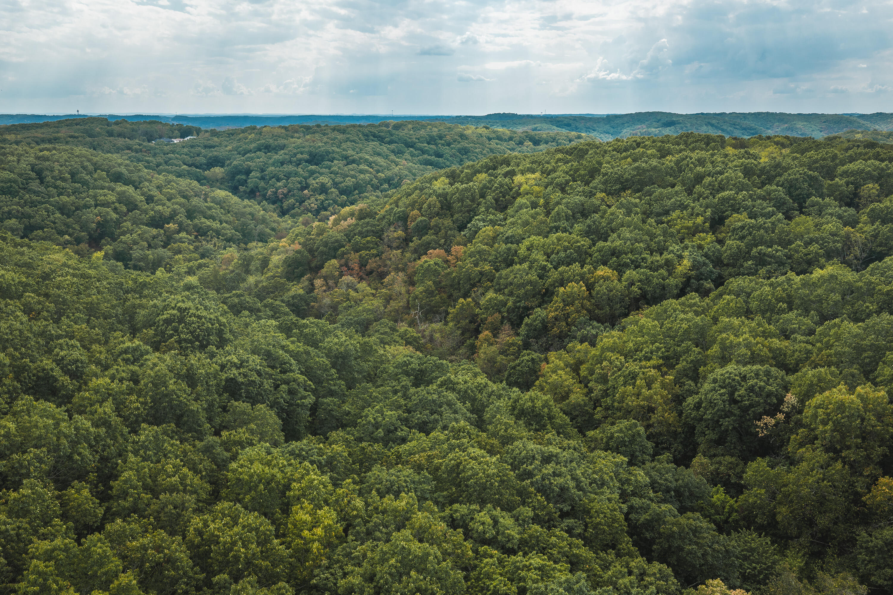 Photo 11 - Land for sale – 1190  Us Highway 160   Reeds Spring, MO