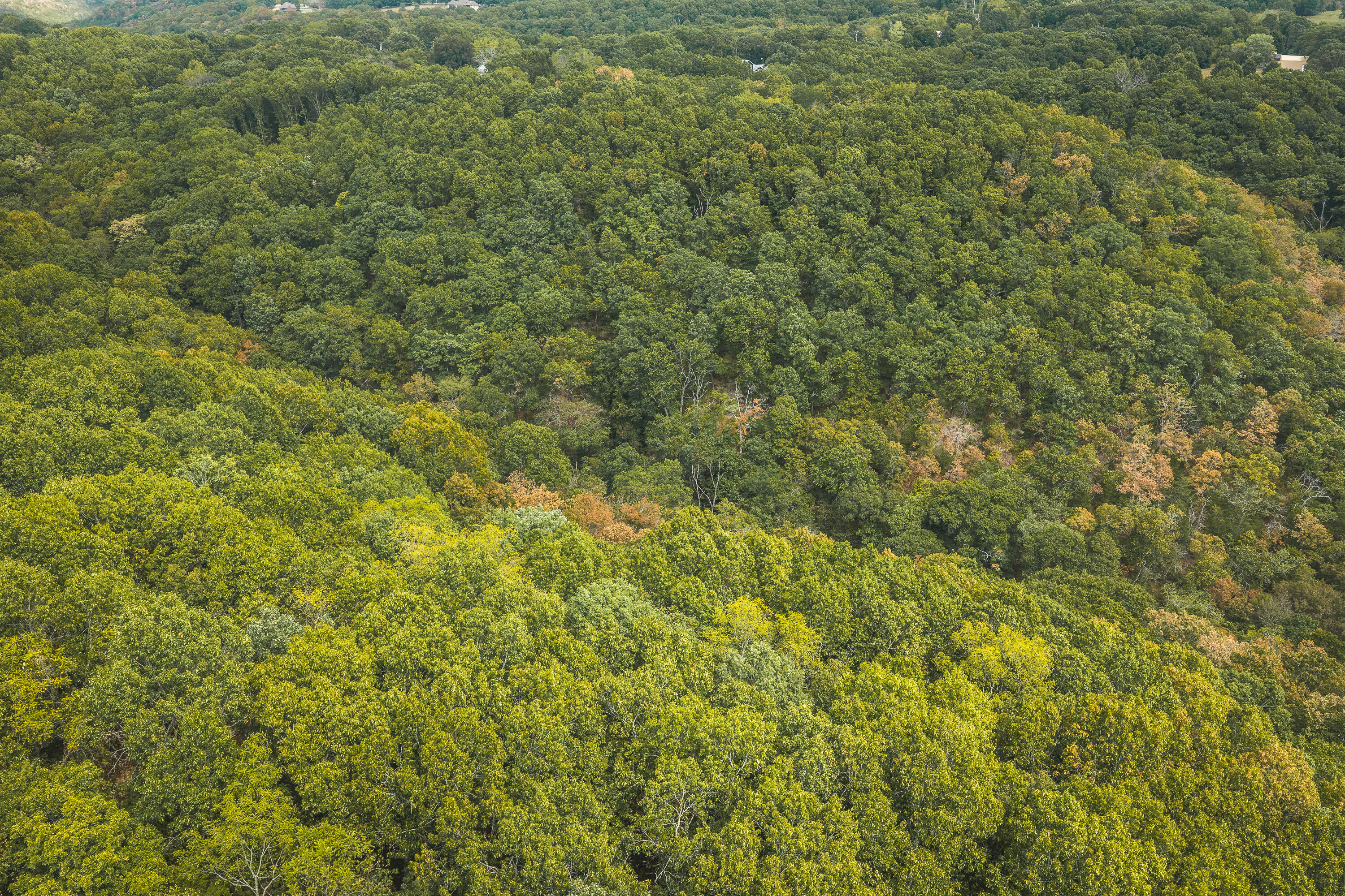 Photo 45 - Land for sale – 1190  Us Highway 160   Reeds Spring, MO