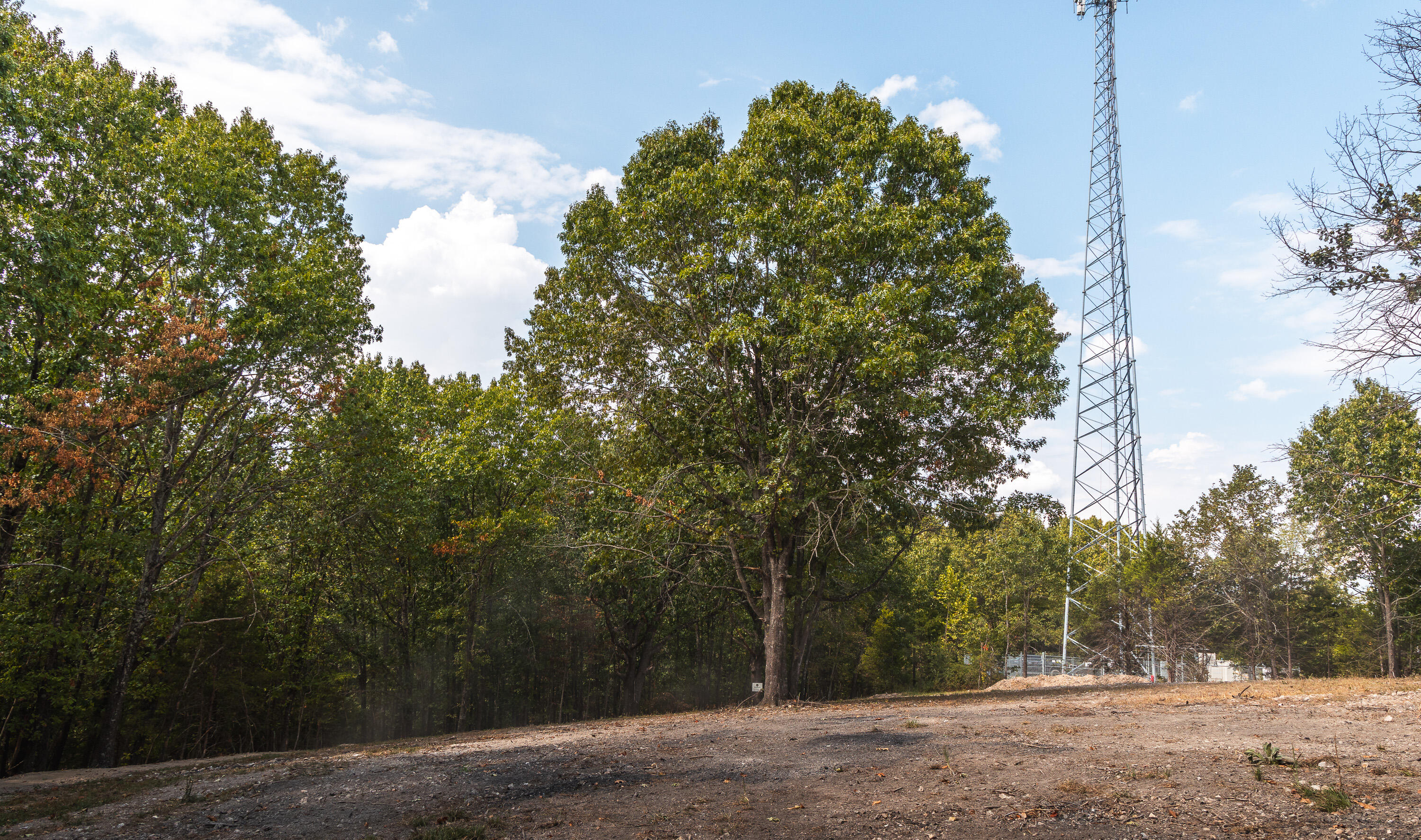 Photo 18 - Land for sale – 1190  Us Highway 160   Reeds Spring, MO