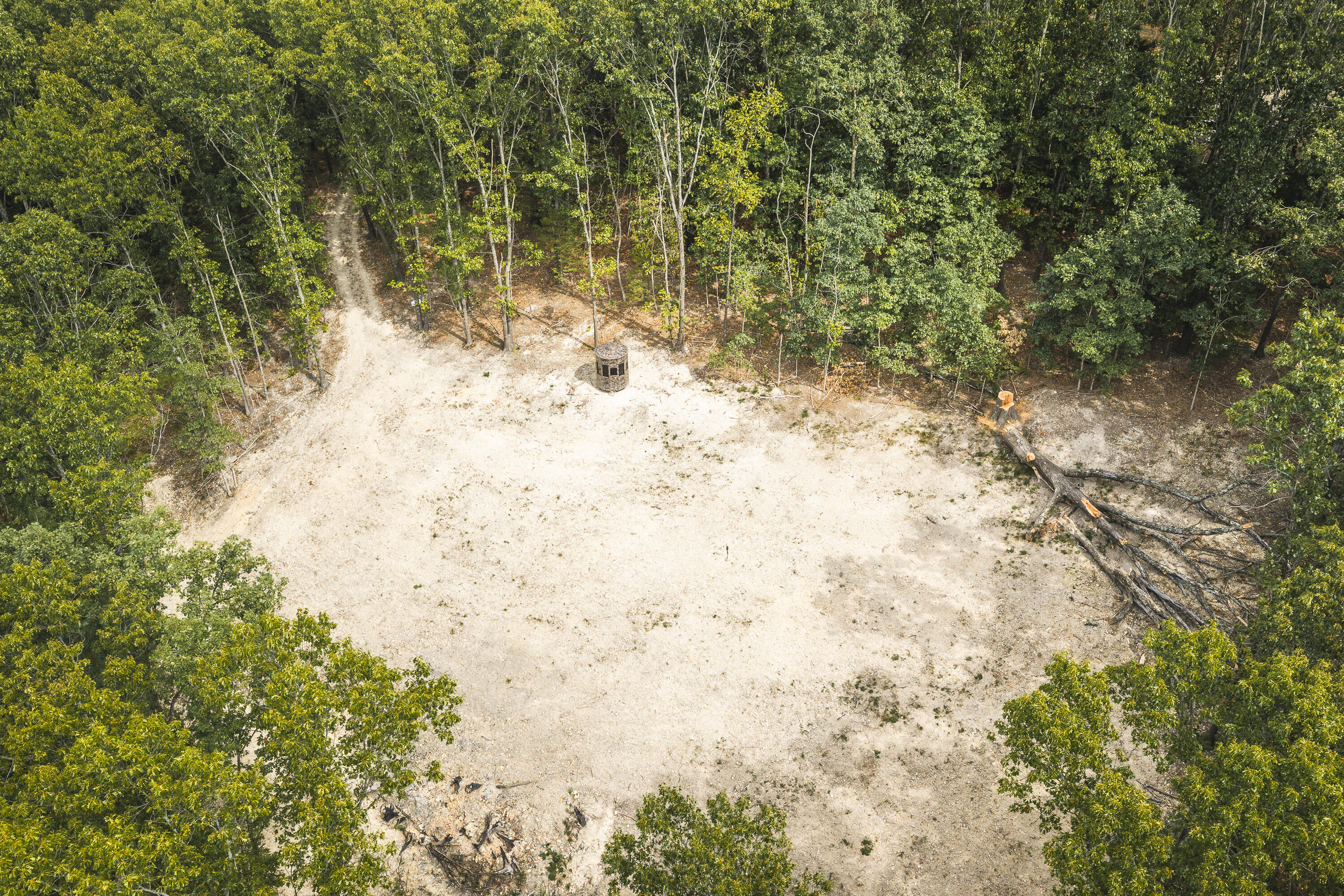 Photo 4 - Land for sale – 1190  Us Highway 160   Reeds Spring, MO