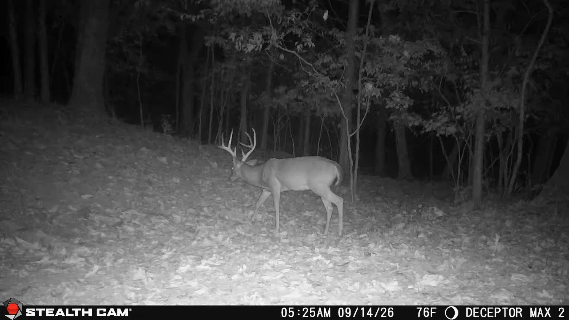 Photo 16 - Land for sale – 1190  Us Highway 160   Reeds Spring, MO