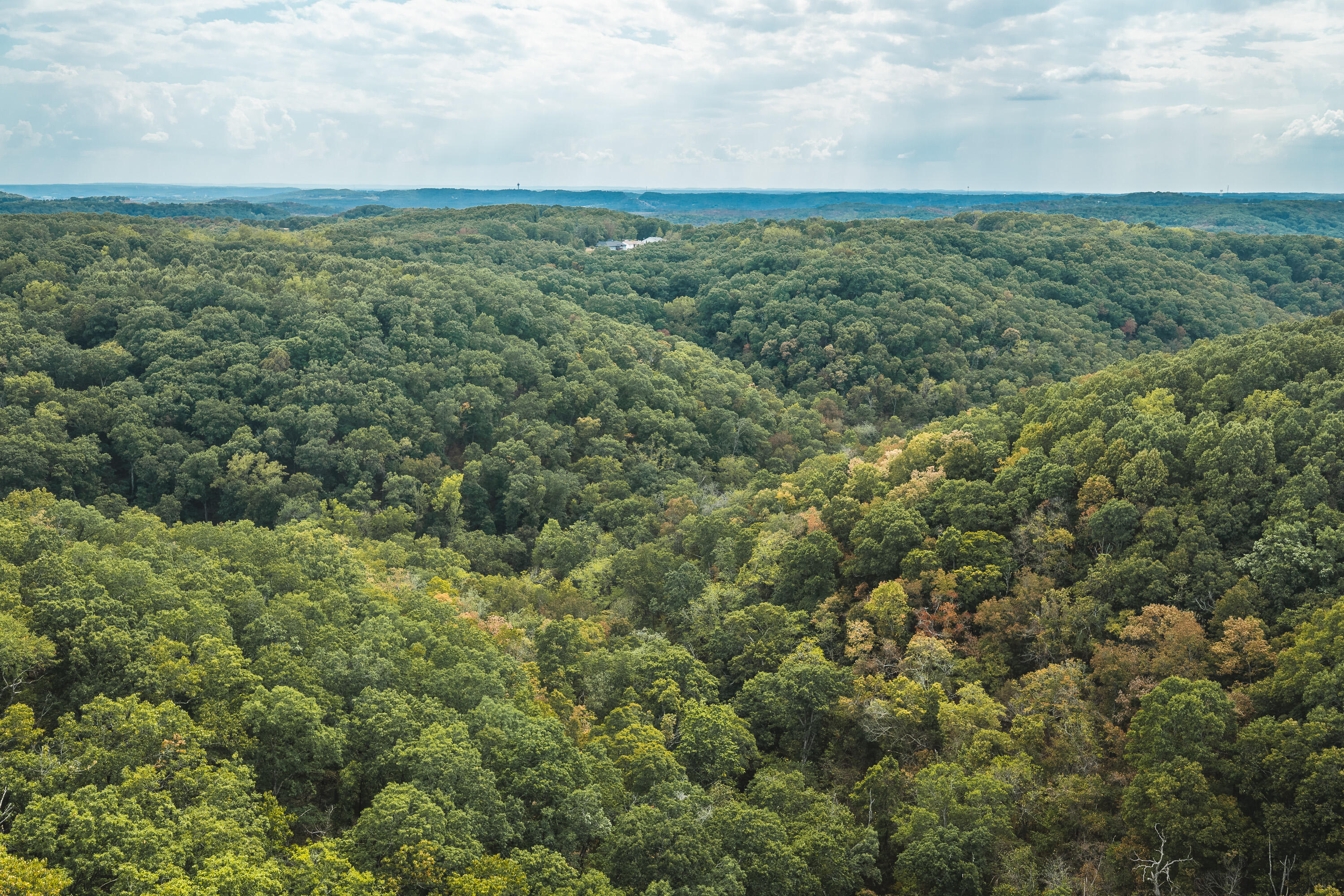 Photo 42 - Land for sale – 1190  Us Highway 160   Reeds Spring, MO