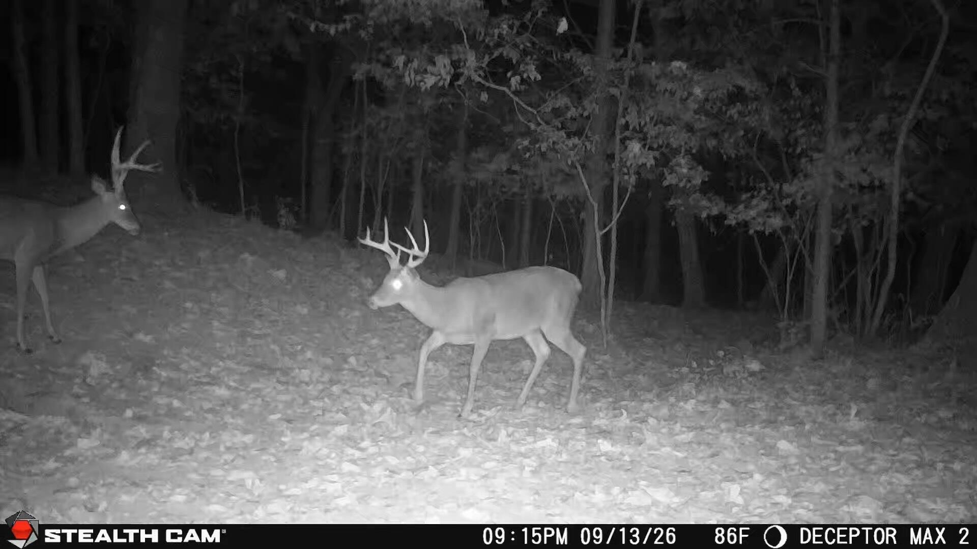 Photo 20 - Land for sale – 1190  Us Highway 160   Reeds Spring, MO