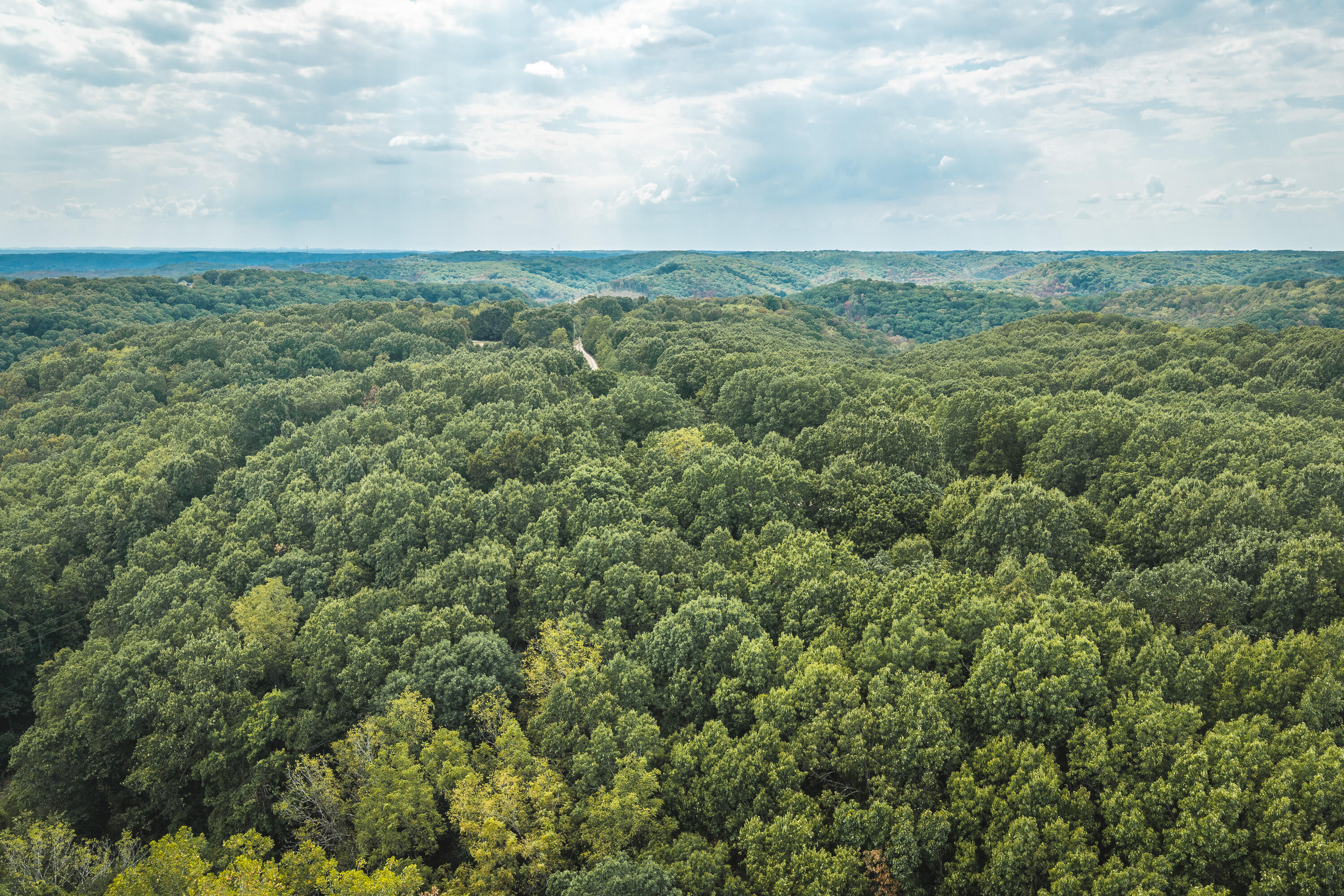 Photo 40 - Land for sale – 1190  Us Highway 160   Reeds Spring, MO