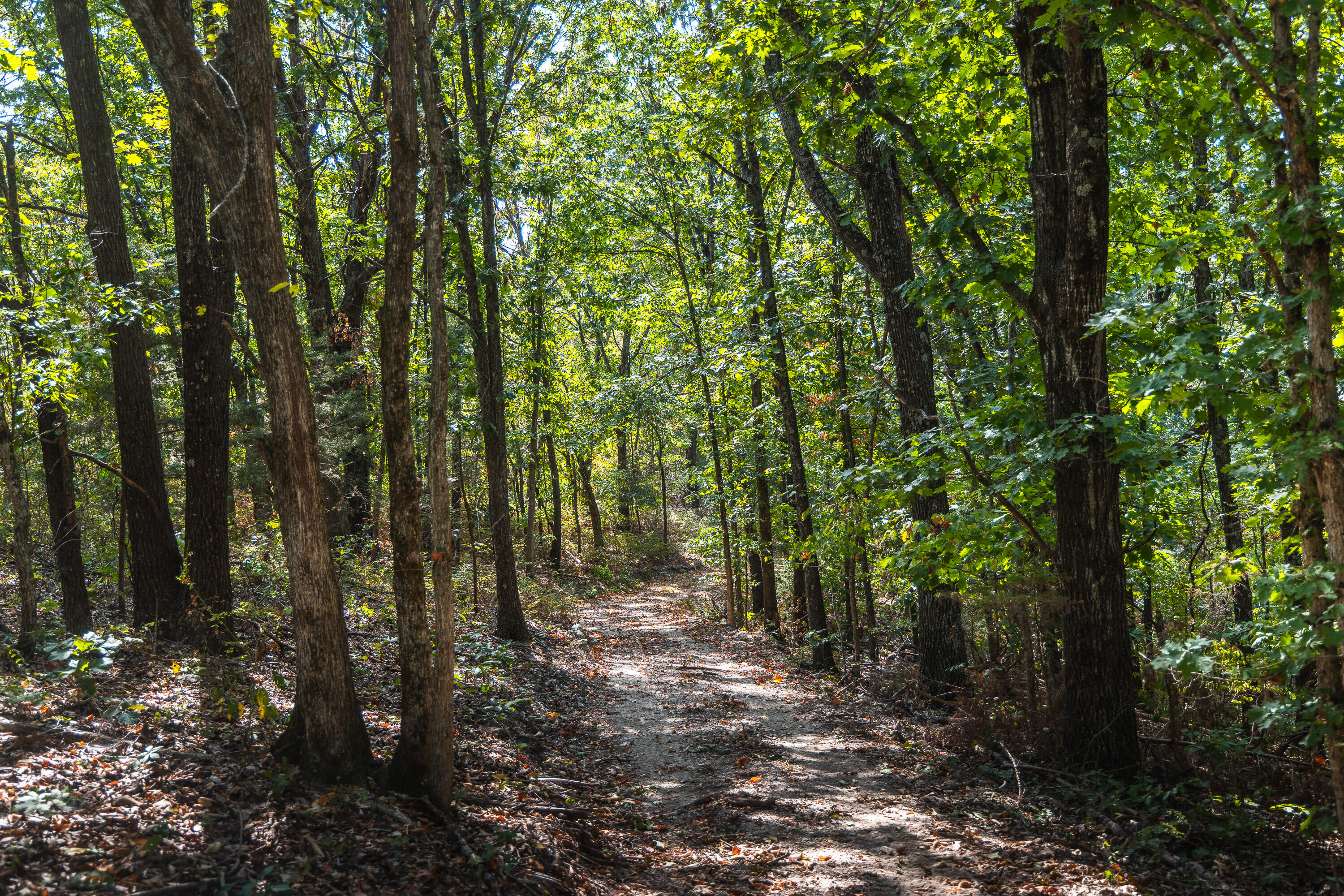 Photo 17 - Land for sale – 1190  Us Highway 160   Reeds Spring, MO