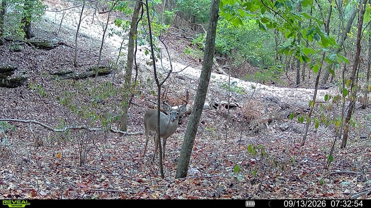 Photo 21 - Land for sale – 1190  Us Highway 160   Reeds Spring, MO