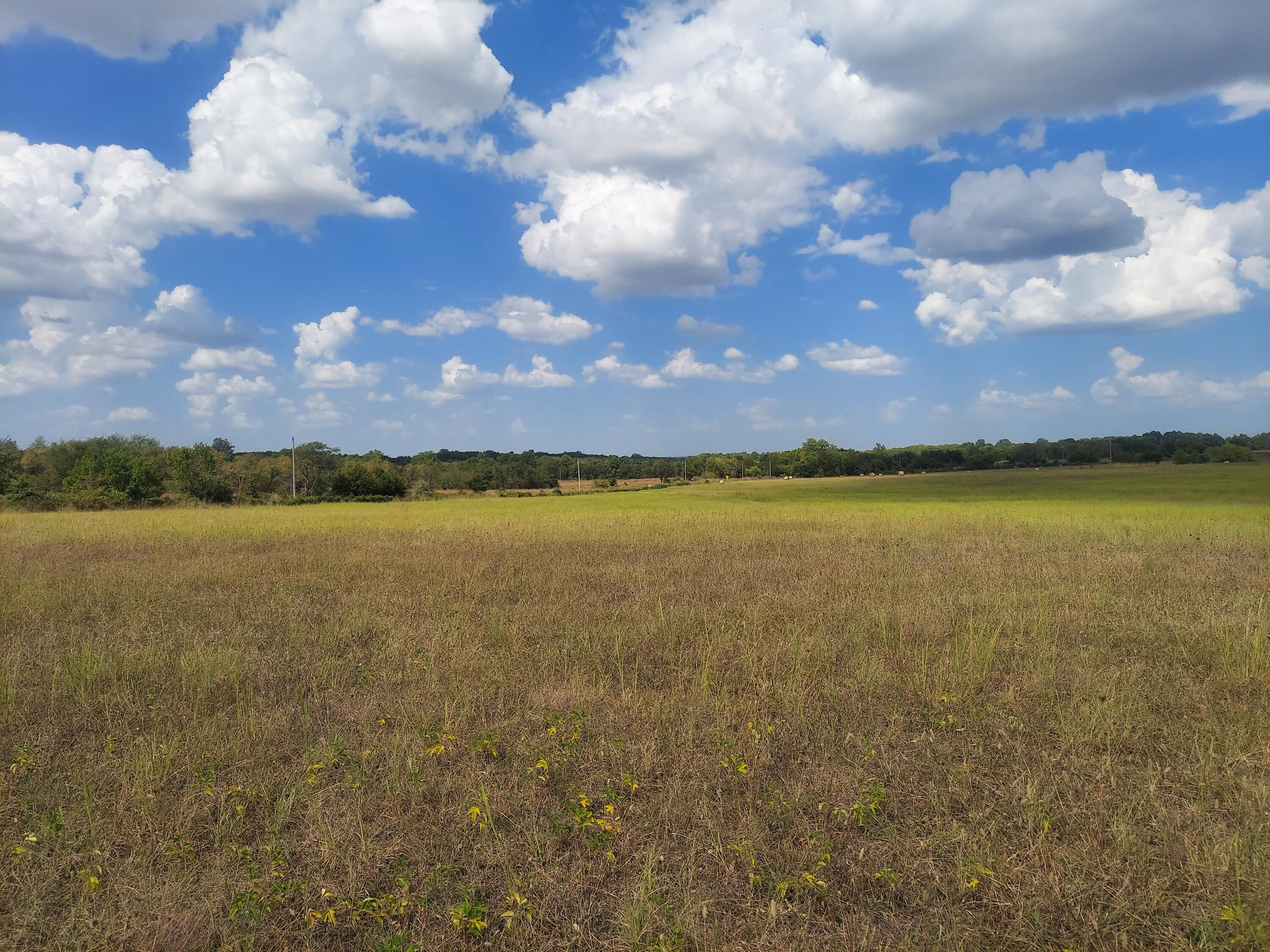 Photo 4 - Land for sale – Lots 1 & 2 N State Highway Uu   Willard, MO