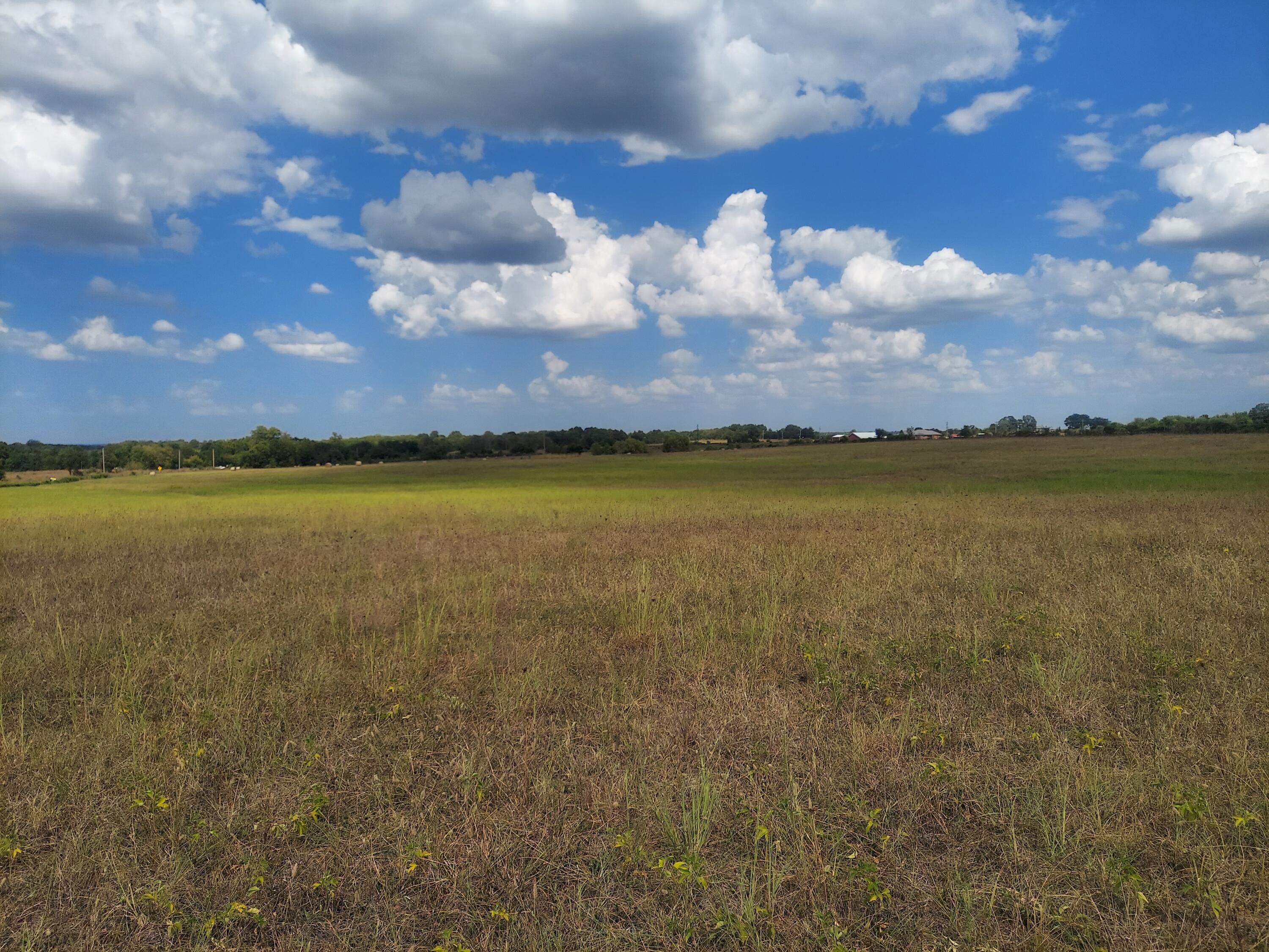 Land for sale – Lots 1 & 2 N State Highway Uu   Willard, MO