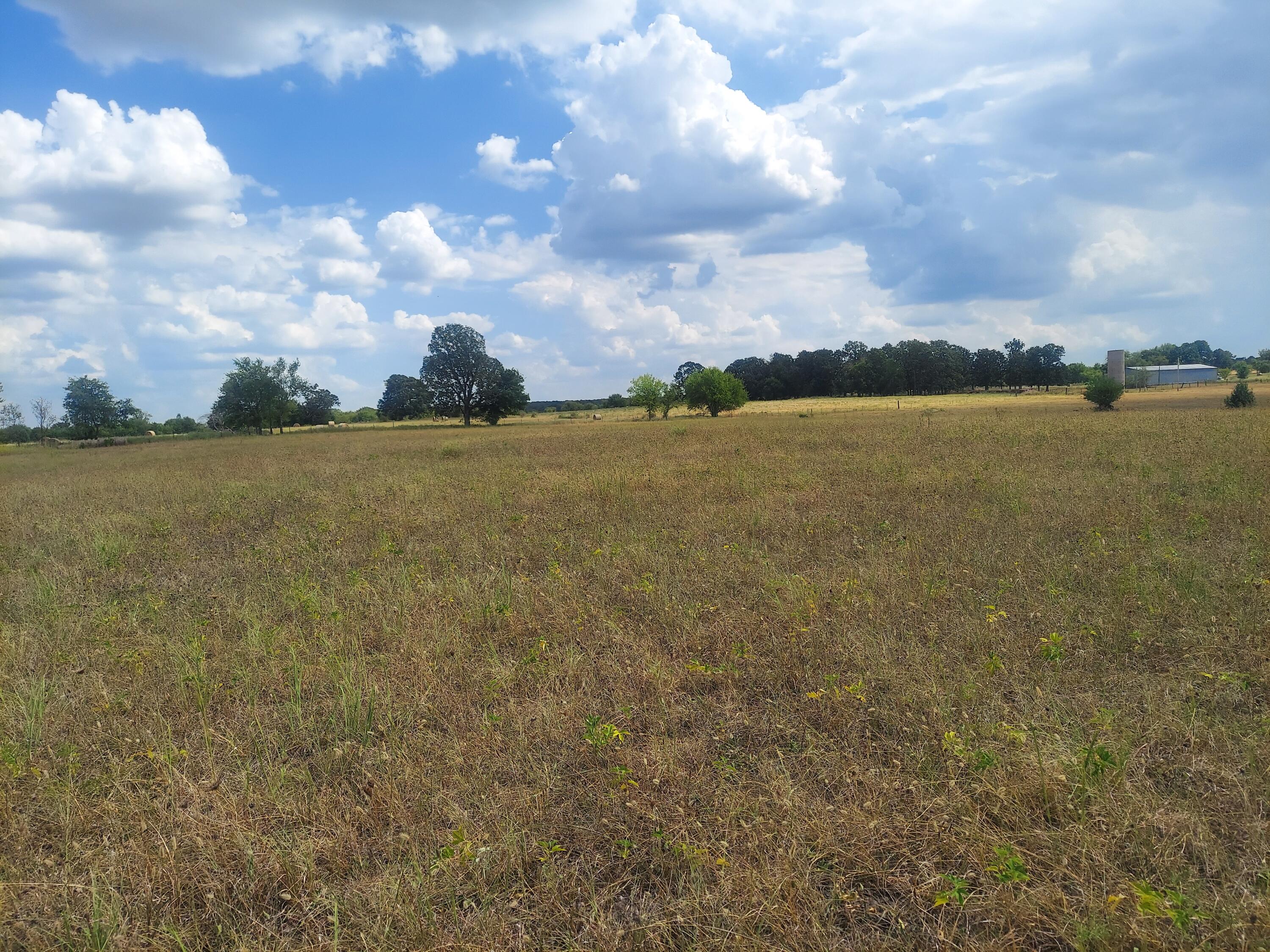 Photo 2 - Land for sale – Lots 1 & 2 N State Highway Uu   Willard, MO
