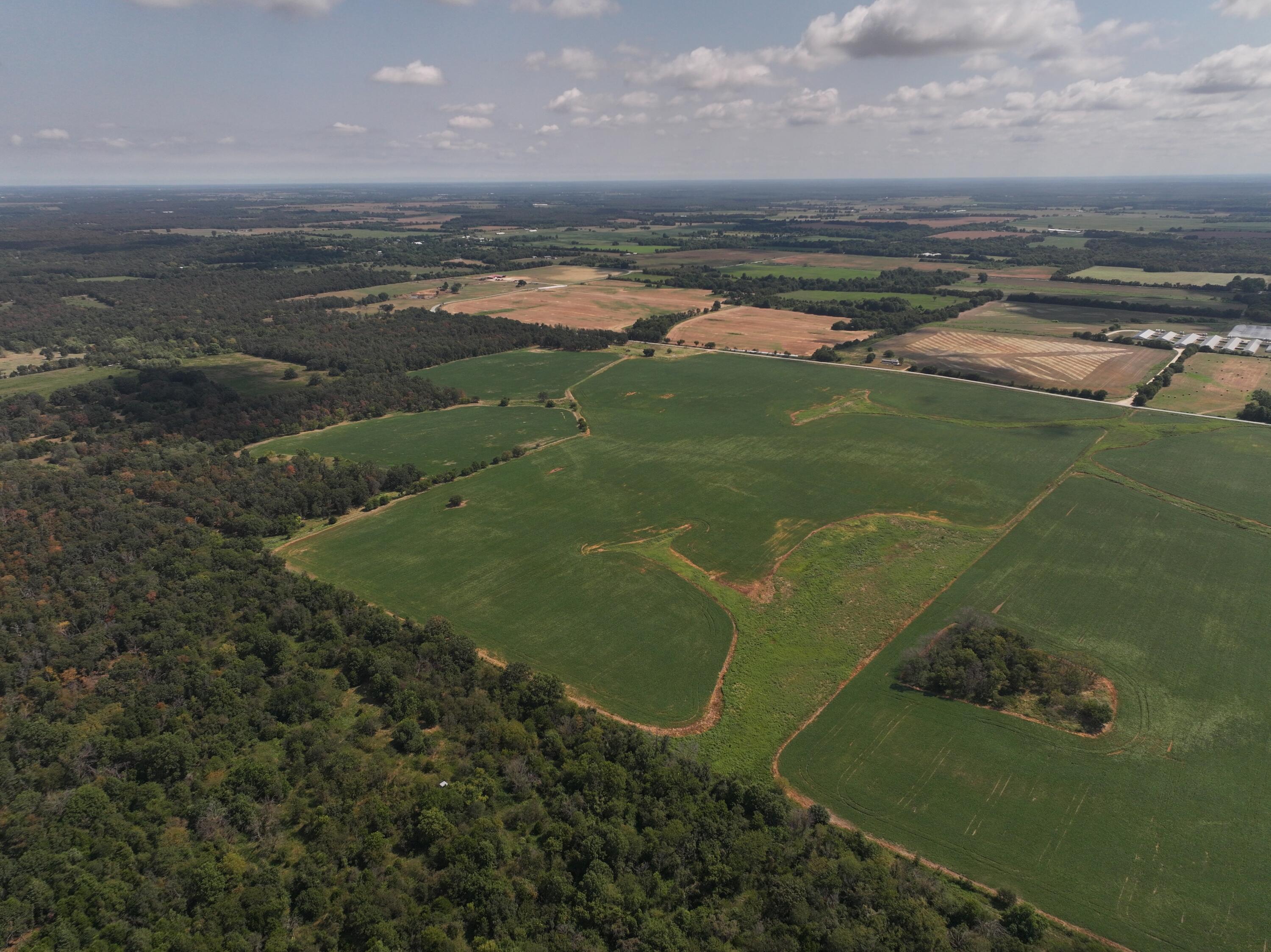 Photo 4 - Land for sale – Tbd  County Road Nn   Sheldon, MO