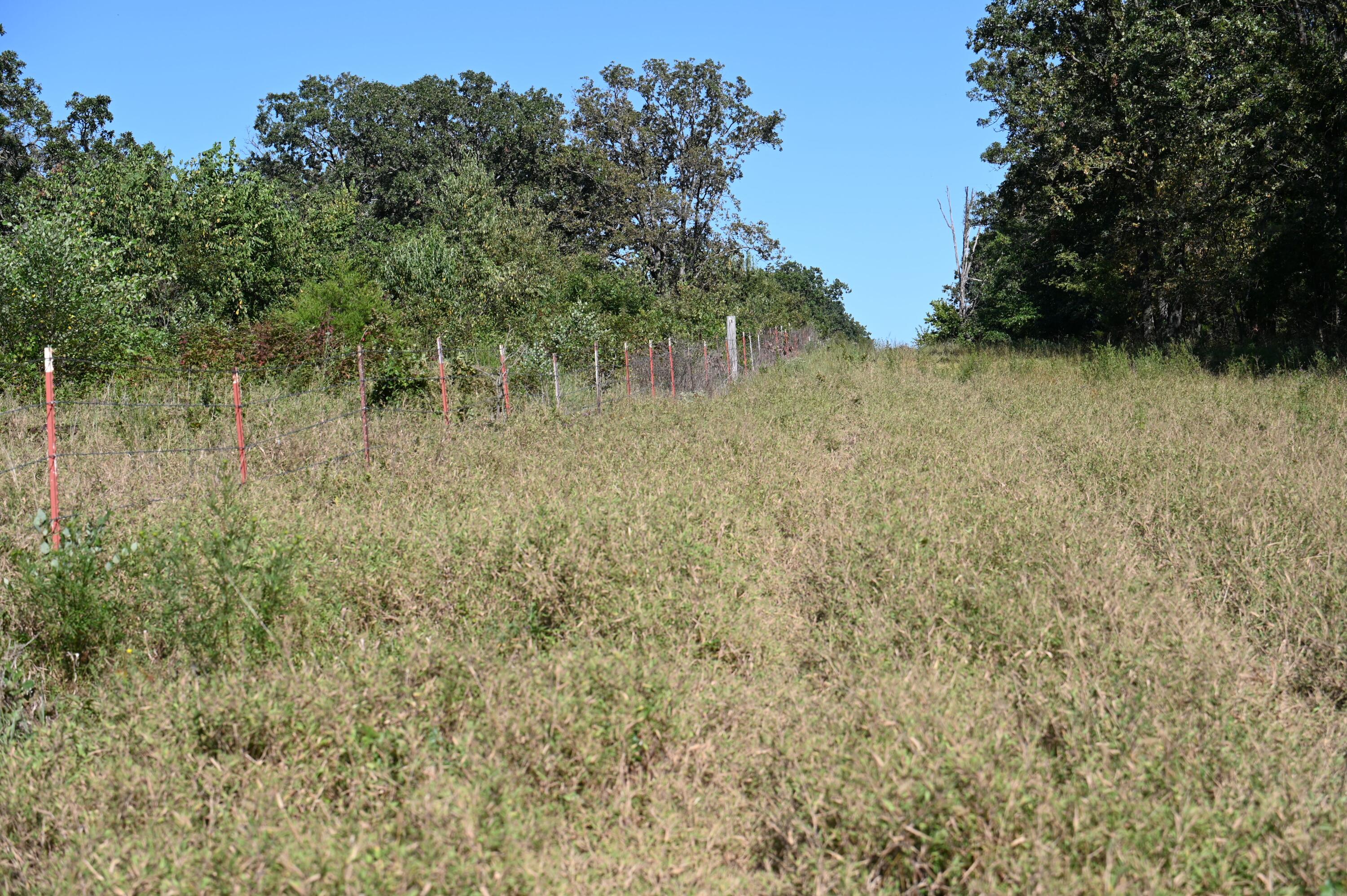 Photo 10 - Land for sale – Tbd  County Road Nn   Sheldon, MO