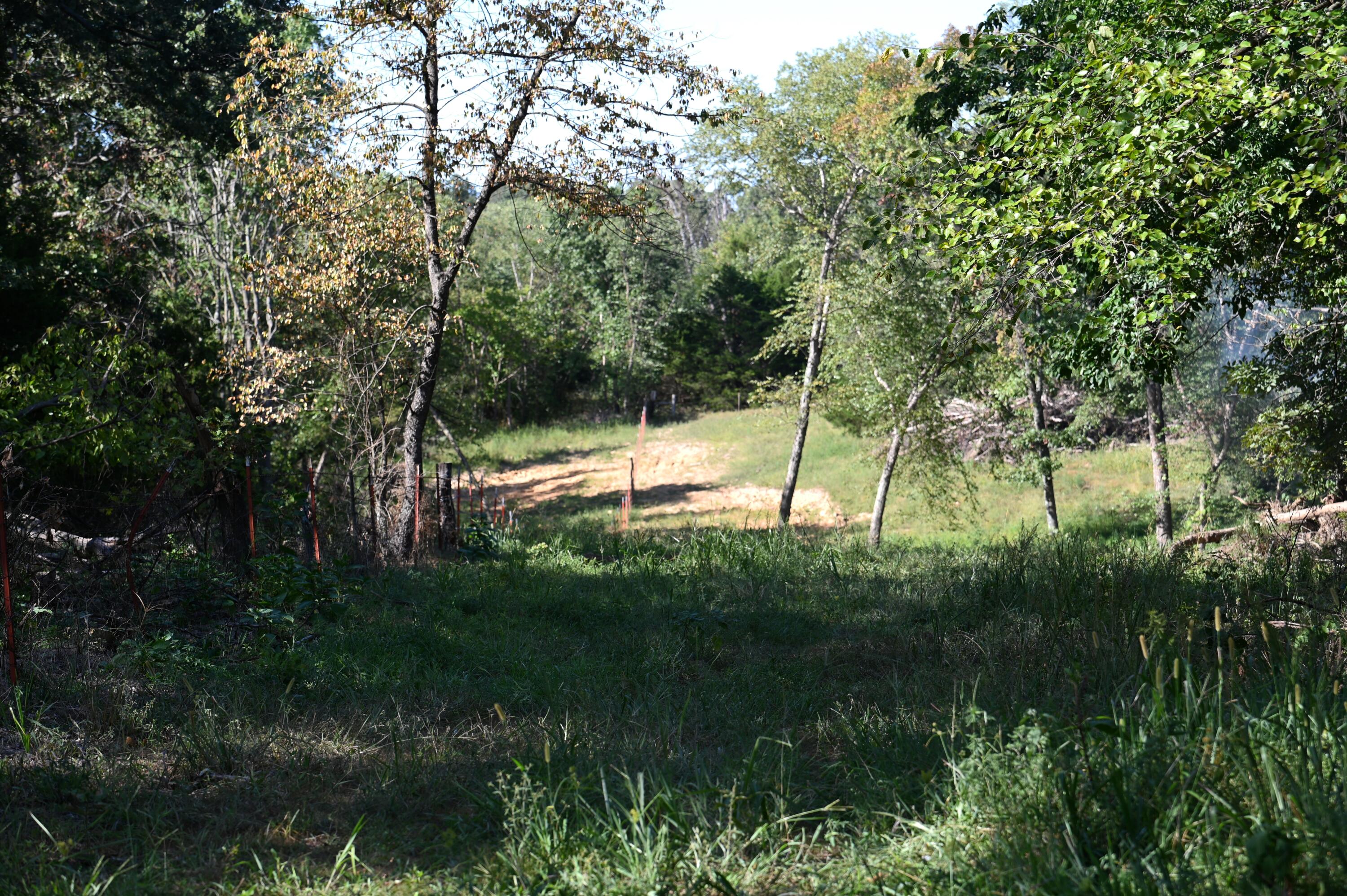 Photo 9 - Land for sale – Tbd  County Road Nn   Sheldon, MO