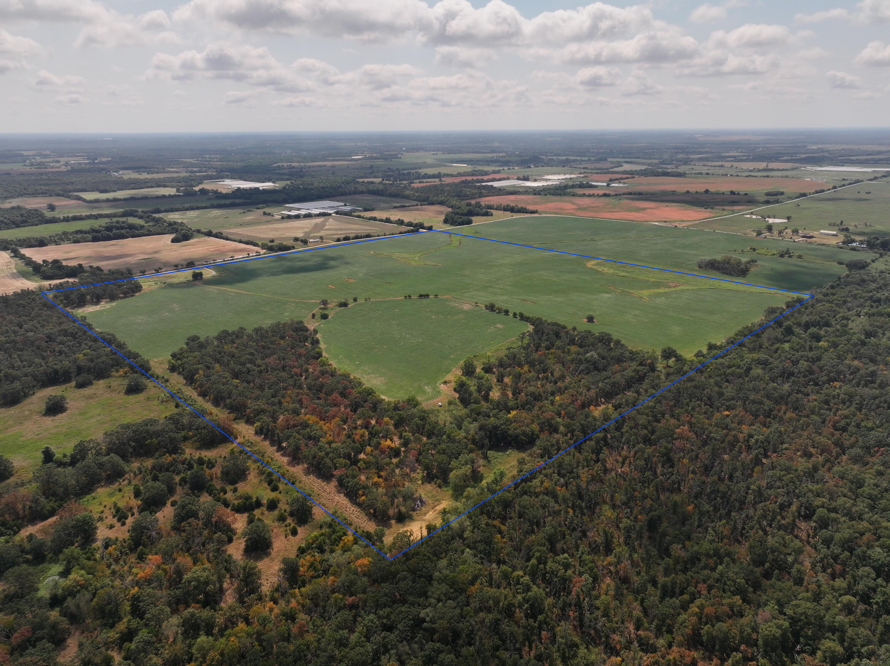Photo 3 - Land for sale – Tbd  County Road Nn   Sheldon, MO
