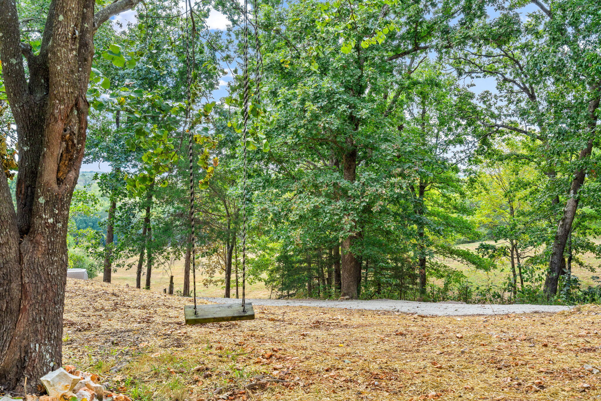 Photo 70 - Residential for sale – 2890  Panther Creek Road  Fordland, MO
