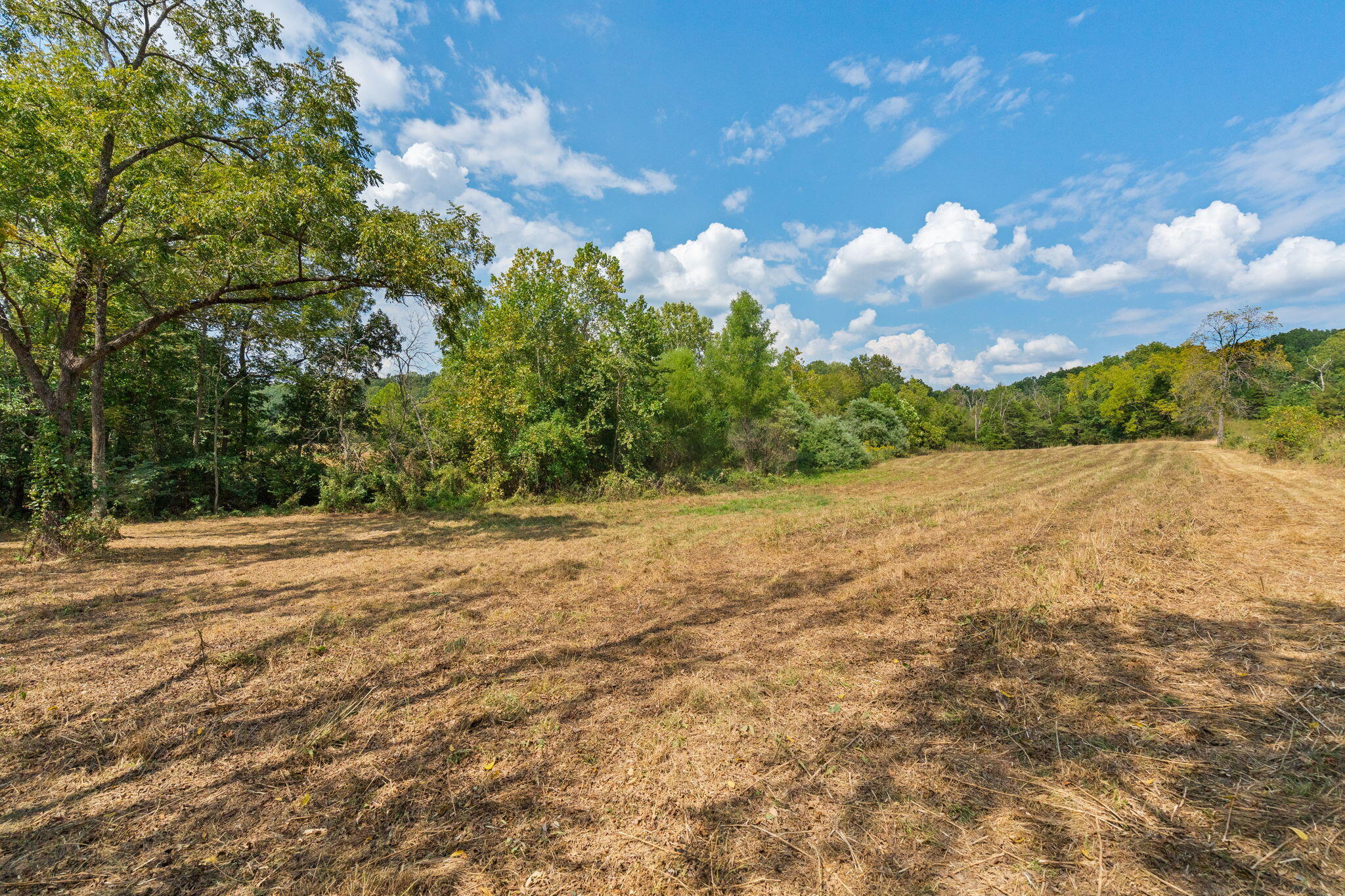 Photo 79 - Residential for sale – 2890  Panther Creek Road  Fordland, MO
