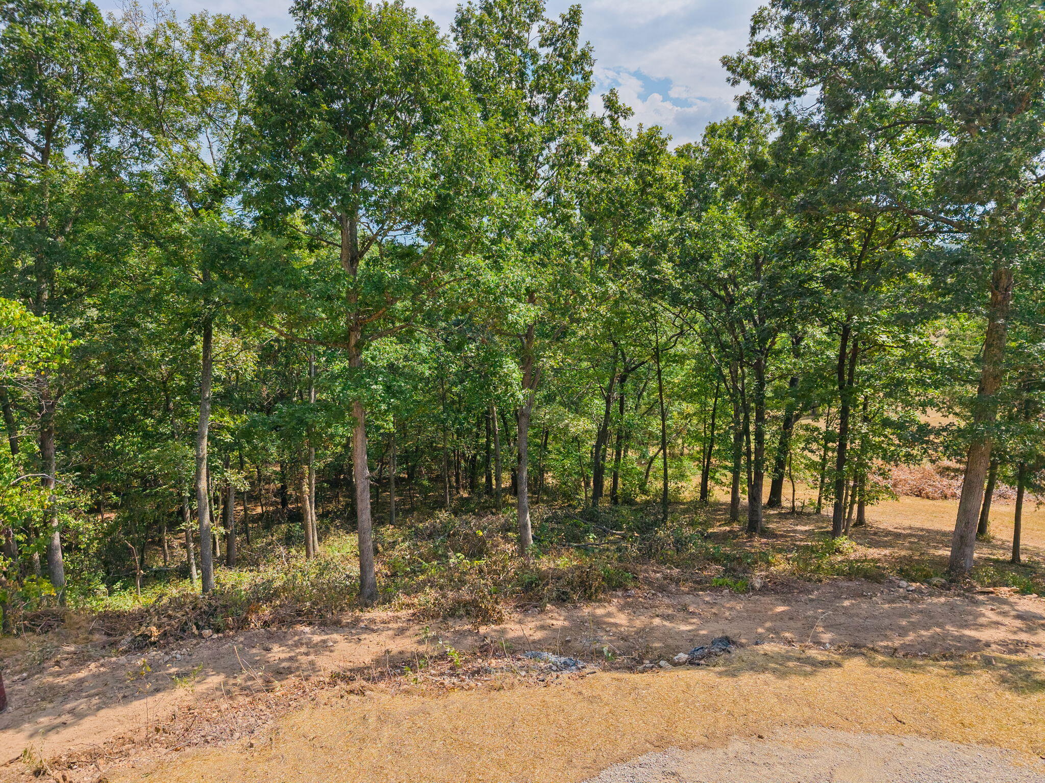 Photo 77 - Residential for sale – 2890  Panther Creek Road  Fordland, MO