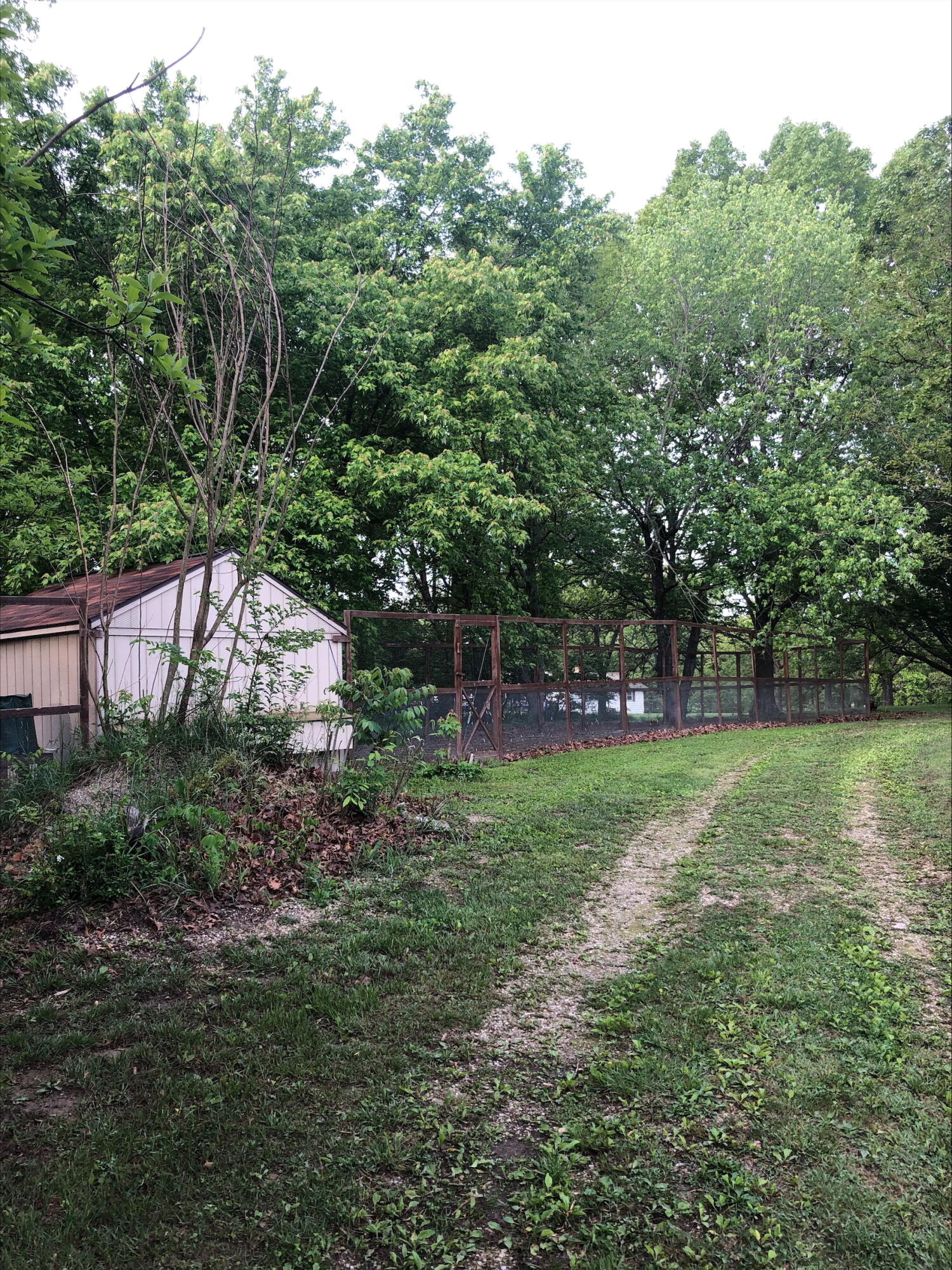 Photo 39 - Residential for sale – 3894  Girlstown Road   Mountain Grove, MO