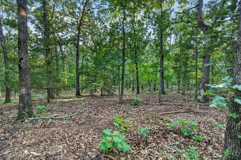 Photo 10 - Land for sale – Tbd  004 Cantrell Road  Mansfield, MO