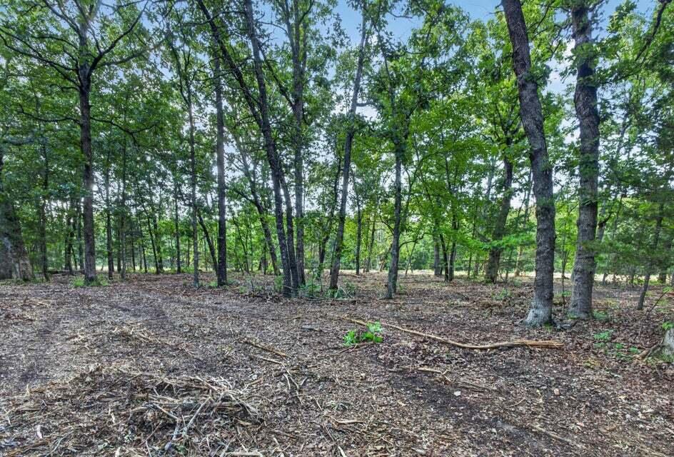 Photo 8 - Land for sale – Tbd  004 Cantrell Road  Mansfield, MO