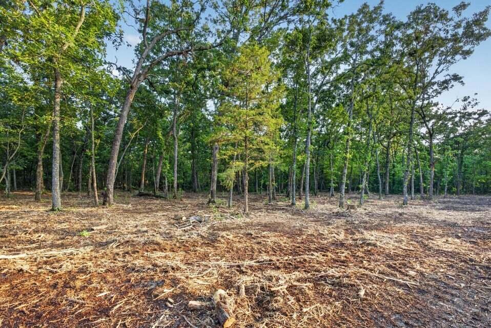 Photo 6 - Land for sale – Tbd  004 Cantrell Road  Mansfield, MO