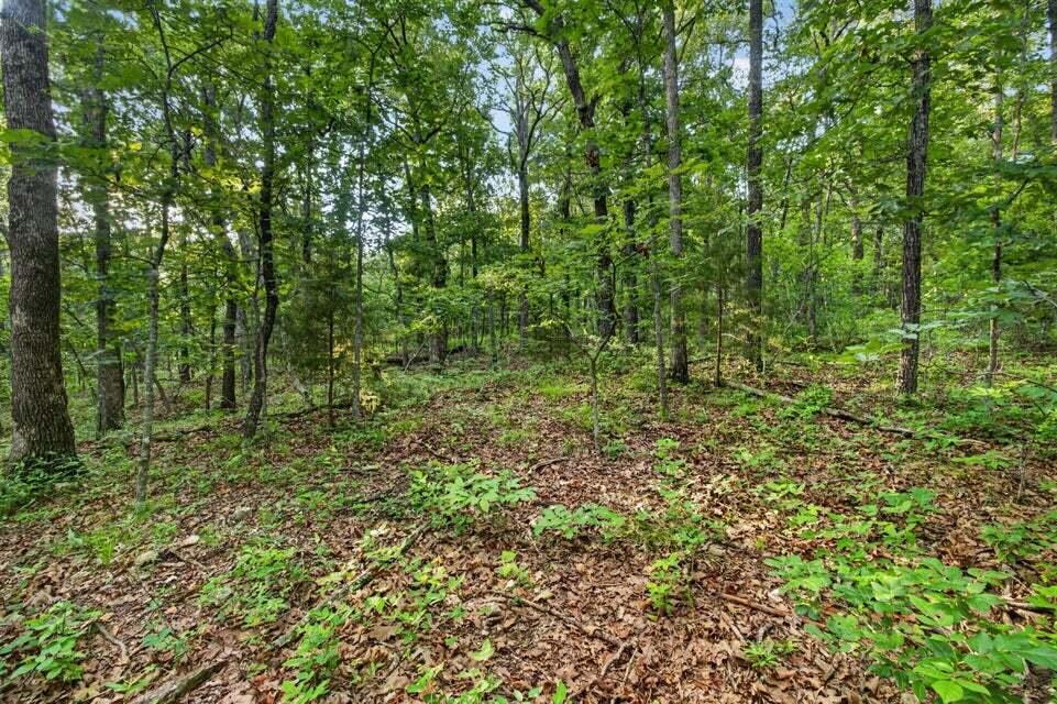 Photo 14 - Land for sale – Tbd  004 Cantrell Road  Mansfield, MO