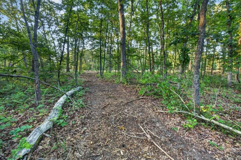 Photo 15 - Land for sale – Tbd  004 Cantrell Road  Mansfield, MO