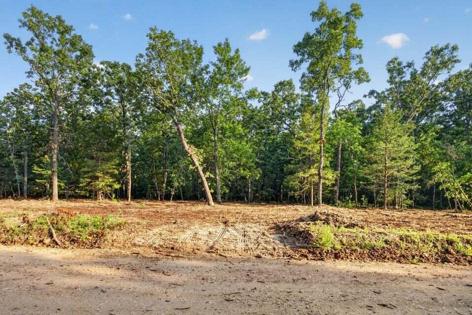 Photo 4 - Land for sale – Tbd  004 Cantrell Road  Mansfield, MO