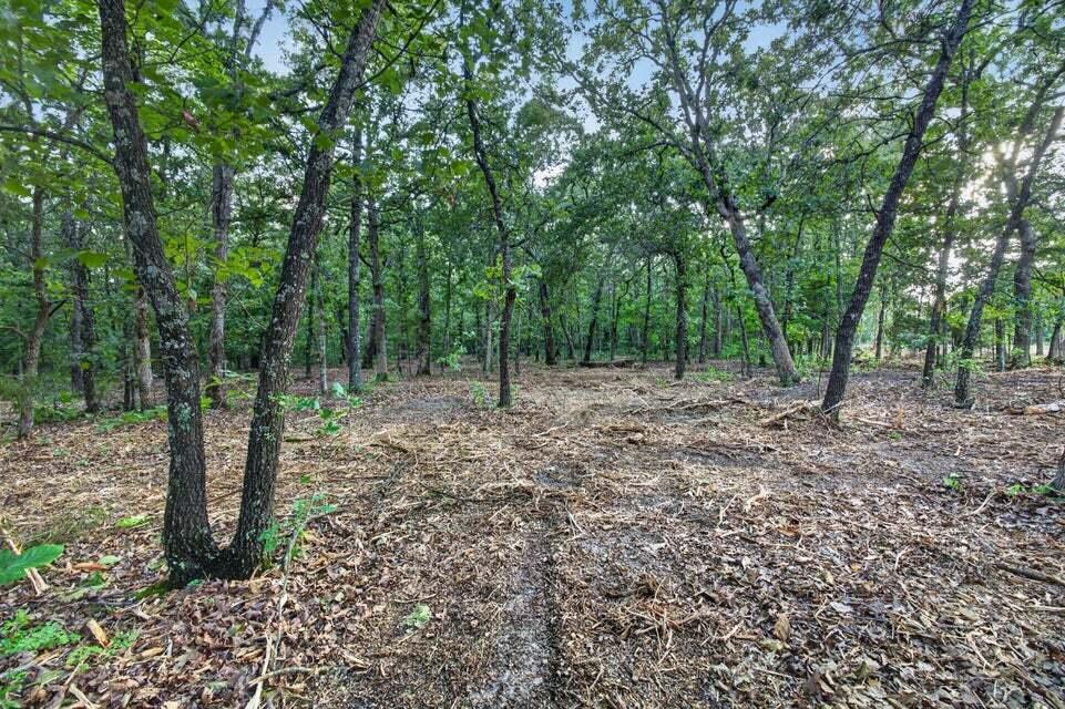 Photo 7 - Land for sale – Tbd  004 Cantrell Road  Mansfield, MO