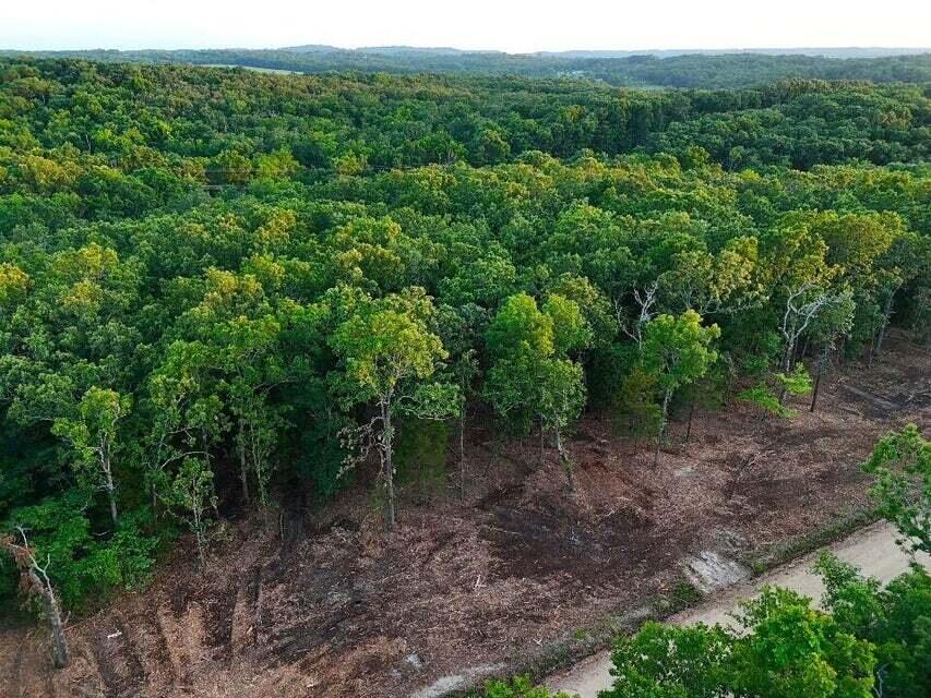 Photo 18 - Land for sale – Tbd  004 Cantrell Road  Mansfield, MO