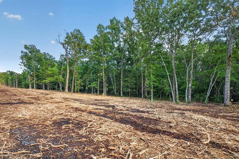 Photo 5 - Land for sale – Tbd  004 Cantrell Road  Mansfield, MO