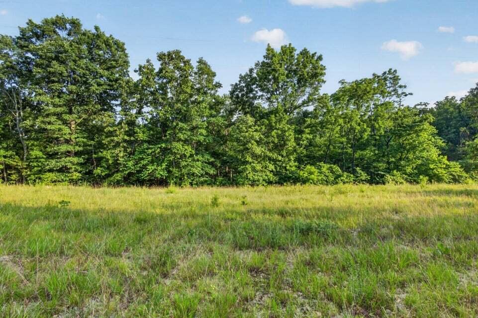 Photo 12 - Land for sale – Tbd  004 Cantrell Road  Mansfield, MO