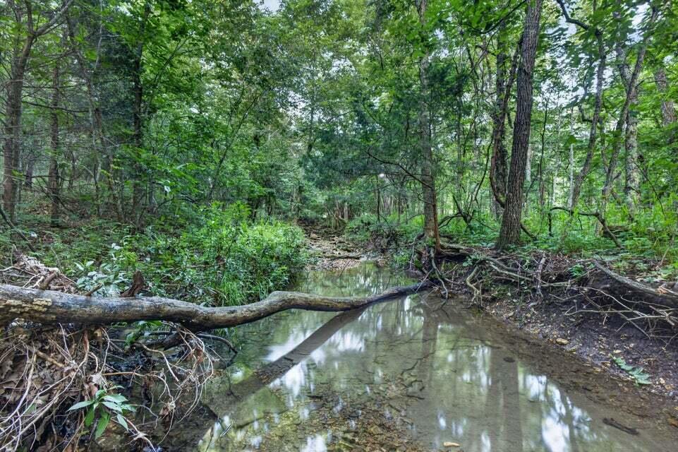 Photo 16 - Land for sale – Tbd  004 Cantrell Road  Mansfield, MO