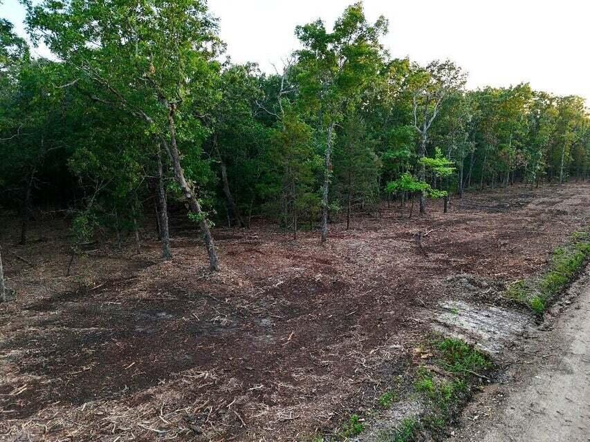 Photo 17 - Land for sale – Tbd  004 Cantrell Road  Mansfield, MO