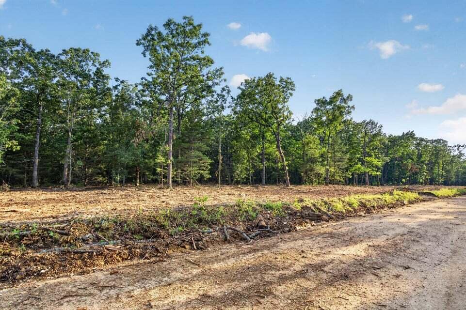 Photo 2 - Land for sale – Tbd  004 Cantrell Road  Mansfield, MO