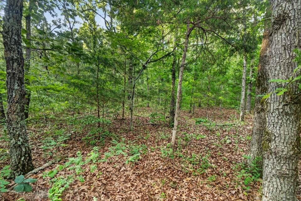 Photo 13 - Land for sale – Tbd  004 Cantrell Road  Mansfield, MO