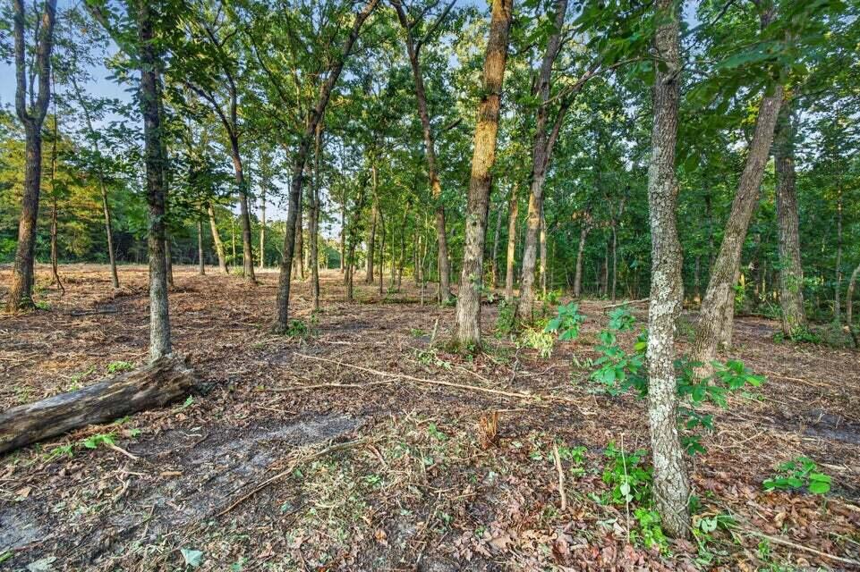 Photo 9 - Land for sale – Tbd  004 Cantrell Road  Mansfield, MO