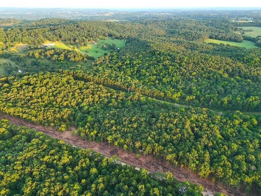 Photo 19 - Land for sale – Tbd  004 Cantrell Road  Mansfield, MO