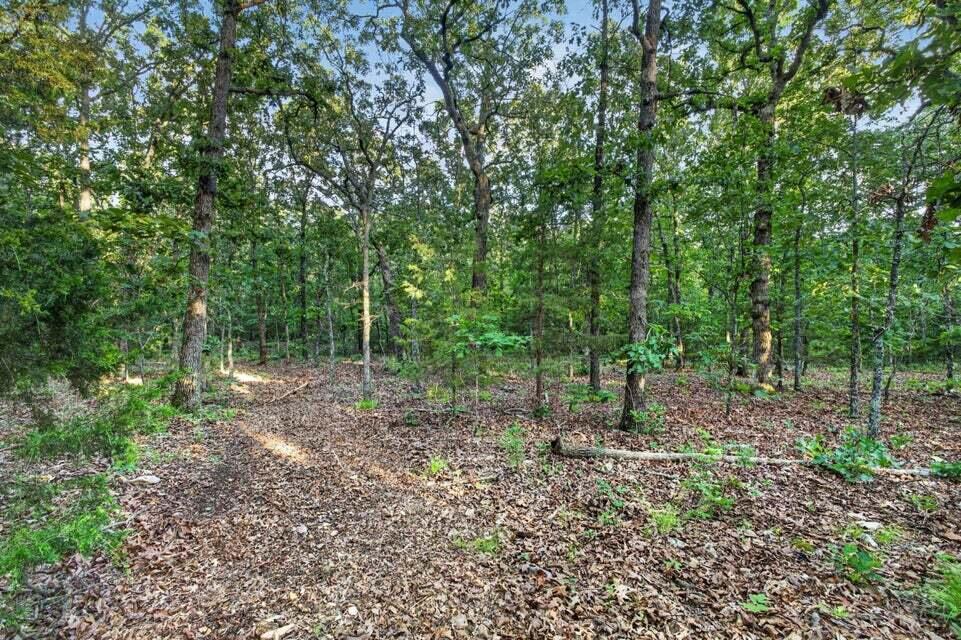 Photo 11 - Land for sale – Tbd  004 Cantrell Road  Mansfield, MO