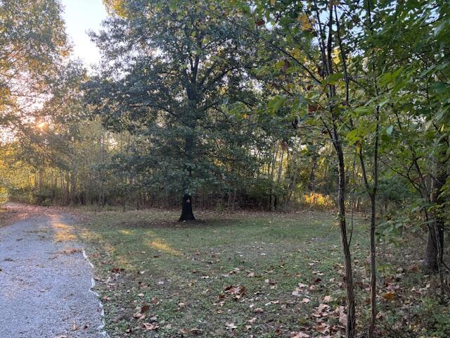 Photo 7 - Land for sale – 6011 NW 56th Street  Kansas City, MO