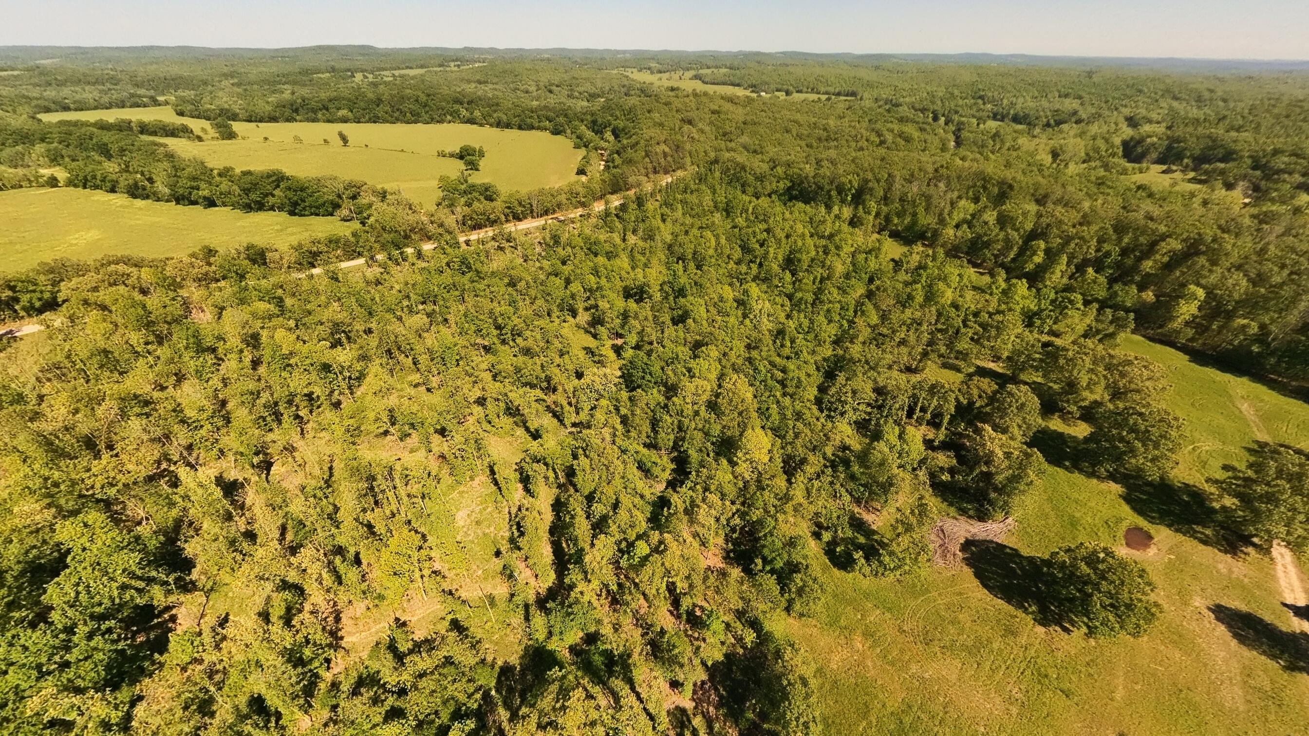 Photo 4 - Land for sale – 000 S County Road 243   Couch, MO