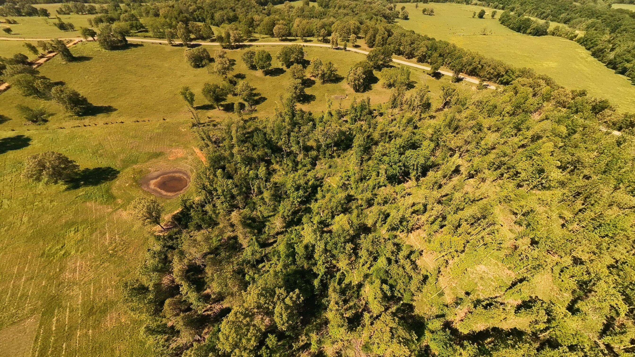Photo 5 - Land for sale – 000 S County Road 243   Couch, MO