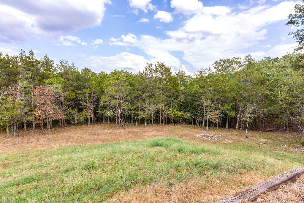 Photo 9 - Residential for sale – 1053  Cane Creek Road  Kissee Mills, MO