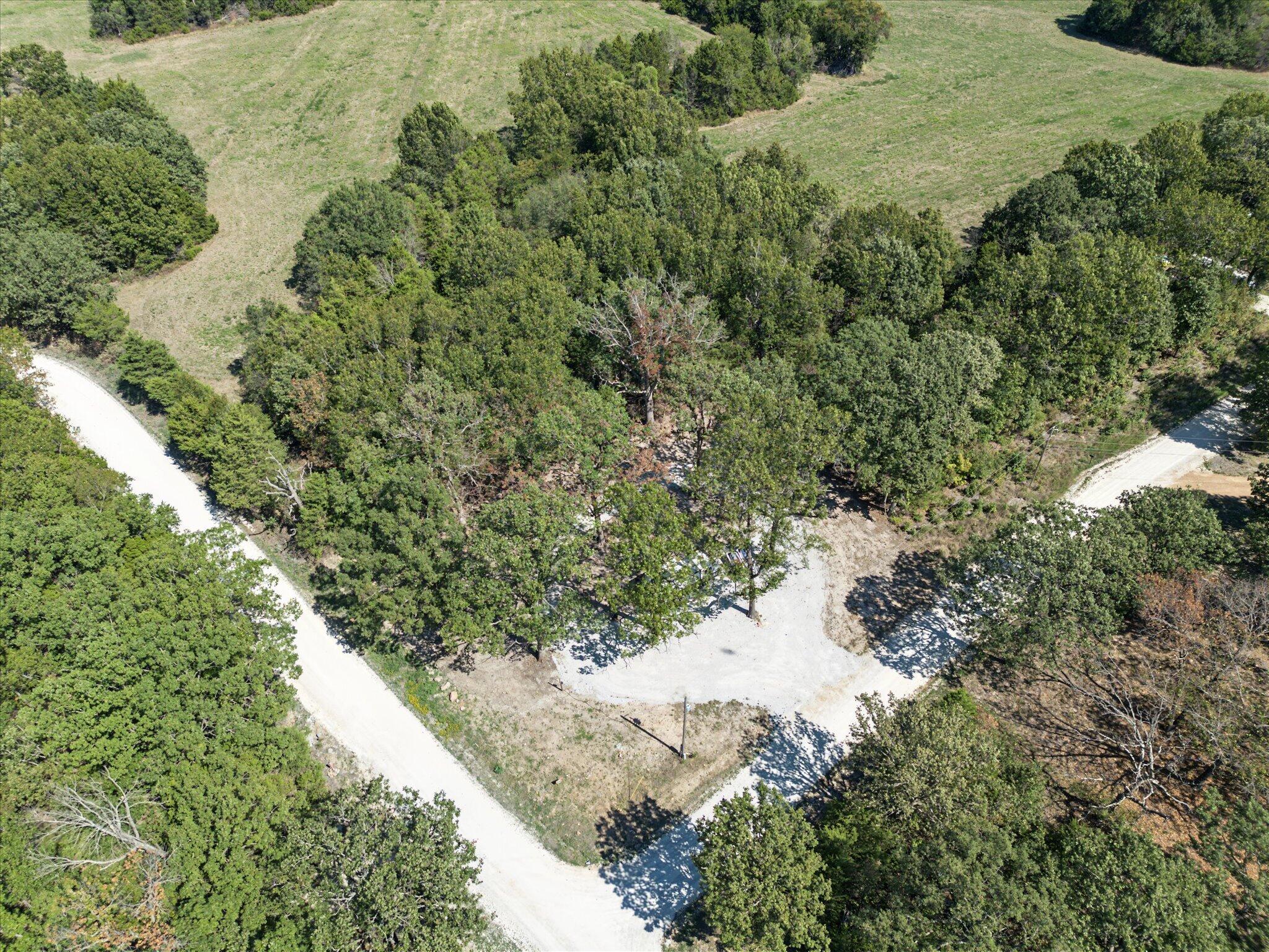 Photo 2 - Land for sale – 24035  County Road 331a   Pittsburg, MO