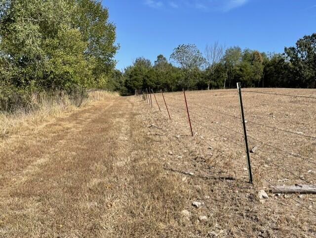 Photo 2 - Land for sale – 0  Lane Branch Road  Hurley, MO