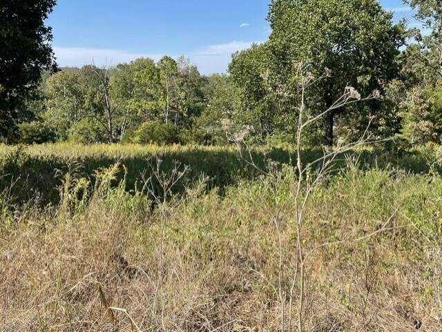 Land for sale – 0  Lane Branch Road  Hurley, MO